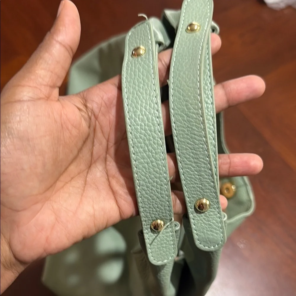 Lagoo leather mint green Hobo Bag with gold hardware